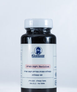 פטריית רעמת האריה Lion’s Mane